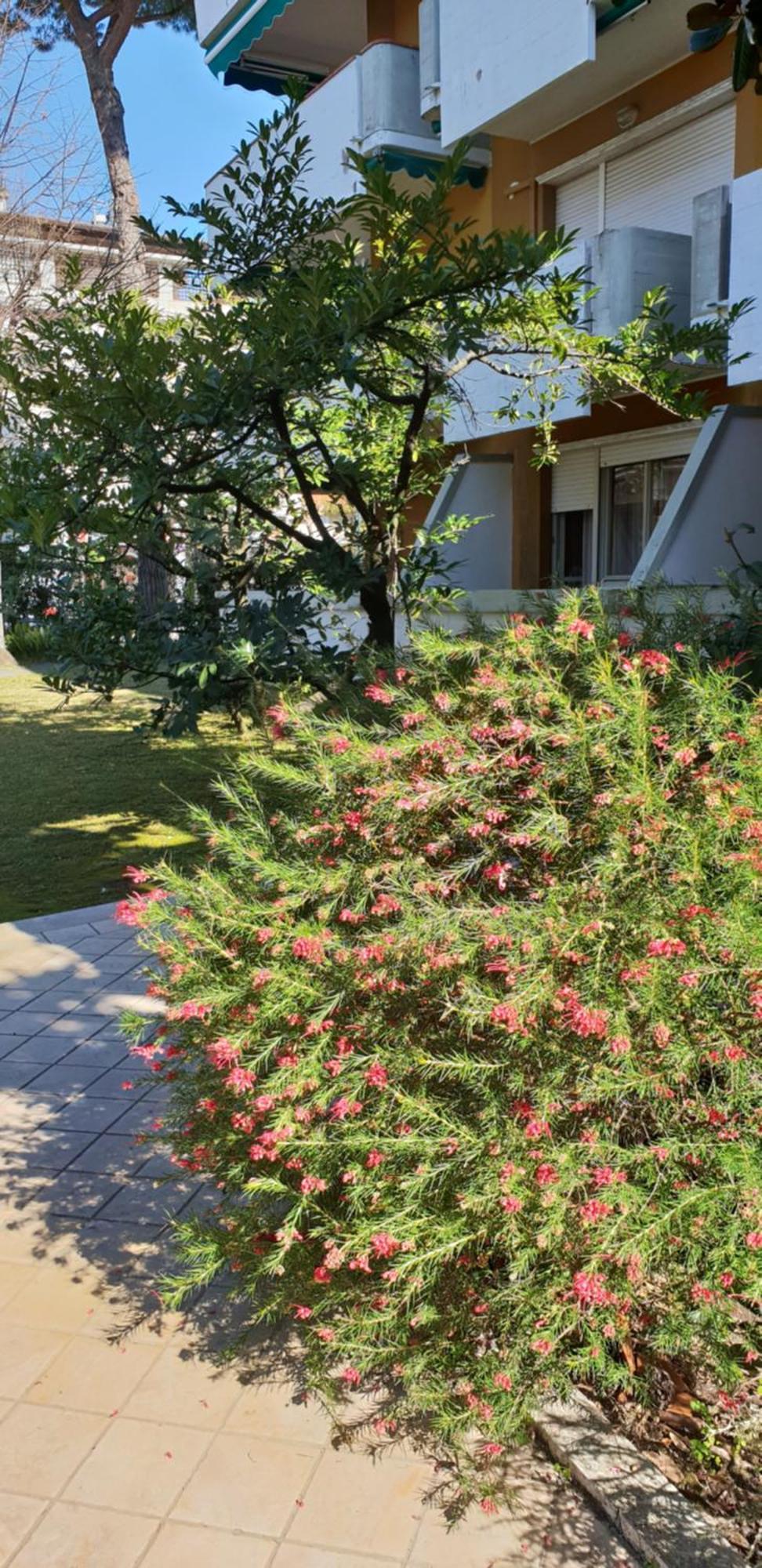 Versilia Apartment Forte dei Marmi Exterior foto